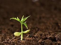 土壤監測，土壤污染程度，深圳檢測機構