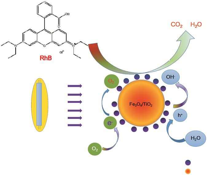 活性劑生物降解測(cè)試