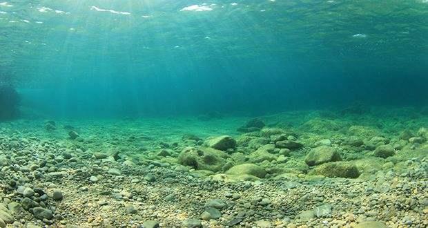 海洋沉積物檢測