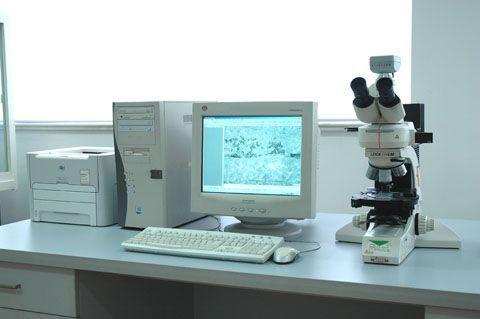 金相分析的所有檢測(cè)項(xiàng)目