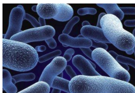 生物降解性檢測(cè)